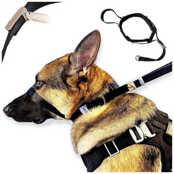 Effective Head Halter Collar for Dogs to Avoid Choking and Stop Pulling During Exercise