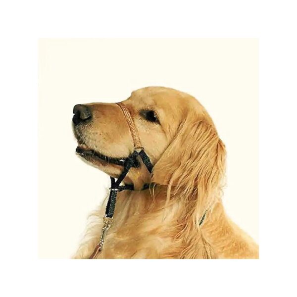 Effective Head Halter for Small to Medium Dogs with Size 3 Black Color