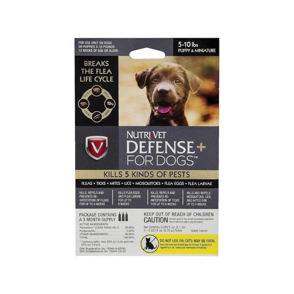 Effective Pesticide-Free Flea and Tick Control for Small Puppies