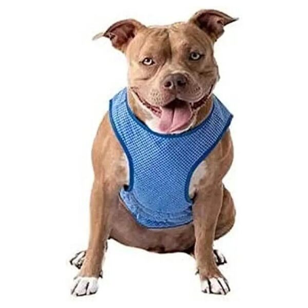 ElastoFit Cooling Ice Vest XL for Large Dogs with Cooling Function