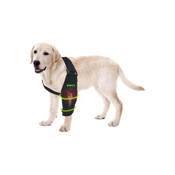 Elbow Pads for Dogs Preventing Pressure Sores and Promoting Skin Health