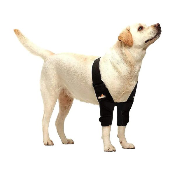 Elbow and Shoulder Support Pads for Dogs with Elbow Dysplasia Osteoarthritis Joint Pain