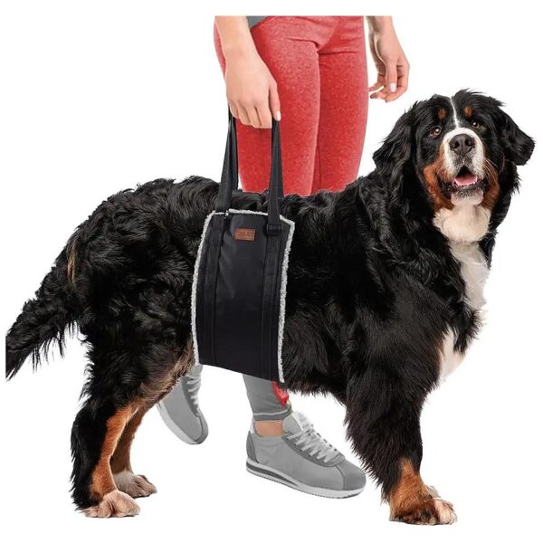 Elderly Dog Lift Harness Support Hind Legs Hips Back Legs Massive Weight