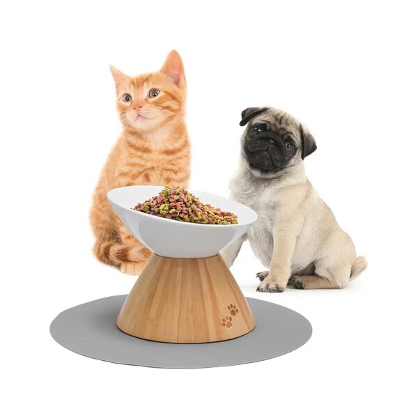 Elevated Cat Bowls for Small Dogs and Cats with Orthopedic Design