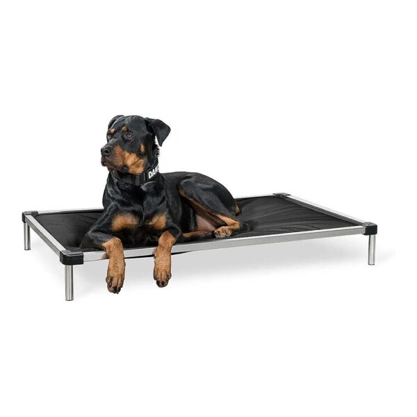 Elevated Chew Resistant Dog Crate Bed with Bite Proof Platform and Padded Comfort