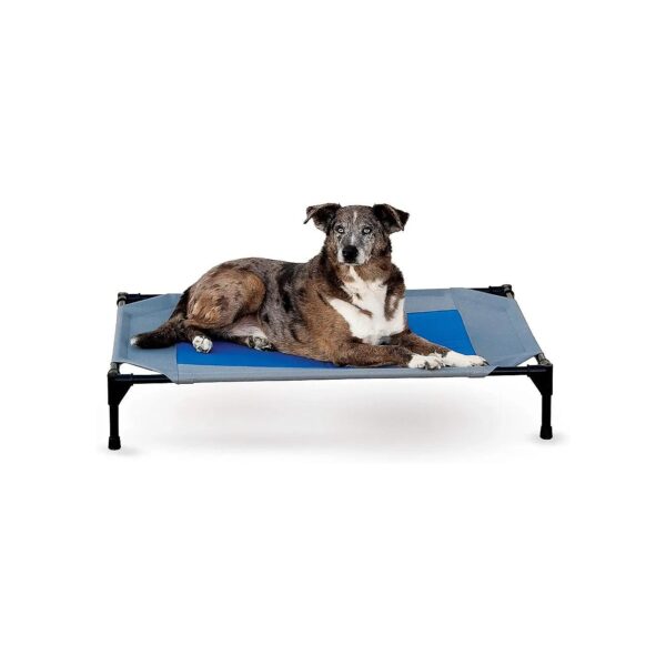 Elevated Cooling Dog Bed for Large Breeds in Gray and Blue, 30 x 42 x 7 Inches