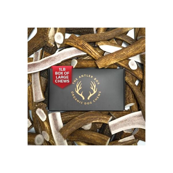 Elk Antler Dog Chews 1 Pound Box Large Whole Split Mixed 3 Pieces Organic All Natural