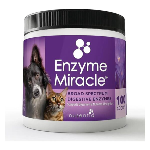 Enzyme Supplement for Healthy Weight Management in Cats and Dogs