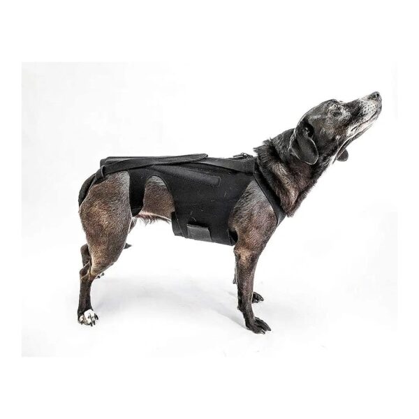 Ergonomic Dog Back Brace for IVDD Small Breeds Like Dachshunds and Corgis