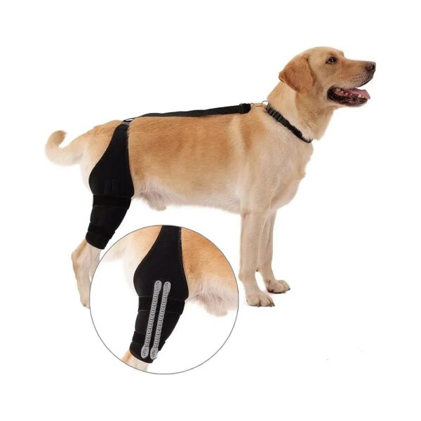 Ergonomic Dog Knee Support with Adjustable Collar and Strap for Strong Joint Protection