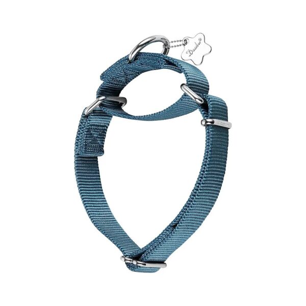 Escape-Proof Adjustable Dog Collar for Medium-Sized Dogs with Haze Blue Color Options