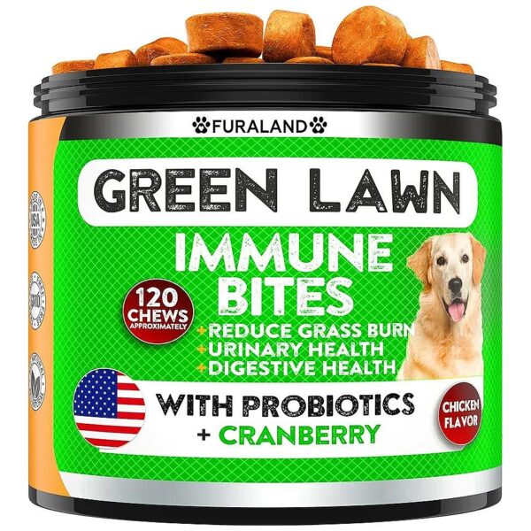 Essential Chews for Dogs with UT Disorders and Burn Spots on Lawns