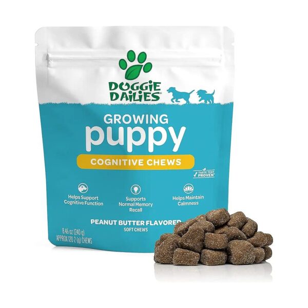 Essential Fatty Acids and Antioxidants in Every Soft Chew for Puppy Brain Health