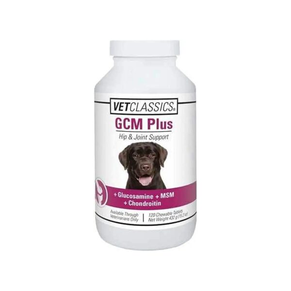 Essential Vitamins and Minerals for Dog Hip and Joint Support