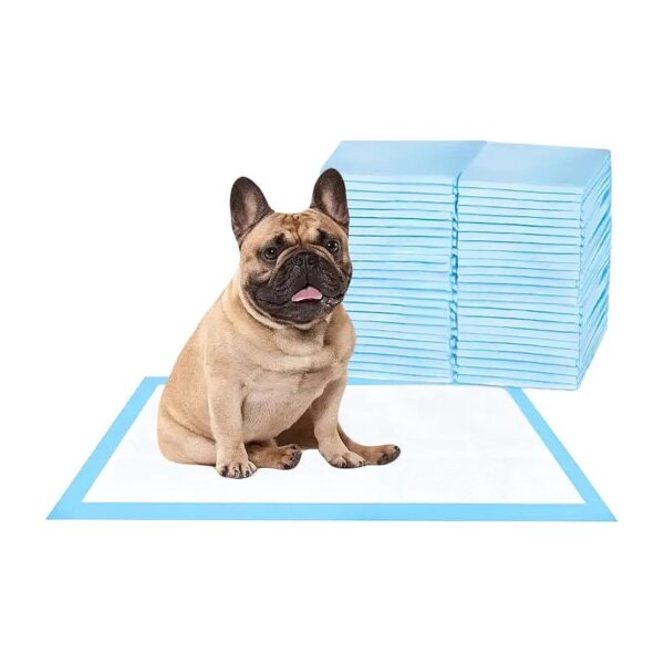 Essentials Pet Training Pads for Dogs, Cats, and Rabbits, 22x22 Inches, 100 Count