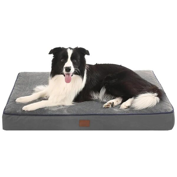 Exquisite Orthopedic 4-Inch Thick Egg Crate Foam Dog Bed for Extra Large Dogs