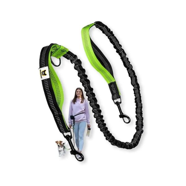 Extendable Hand Free Dog Leash Attachment for Smaller Dogs and Pets