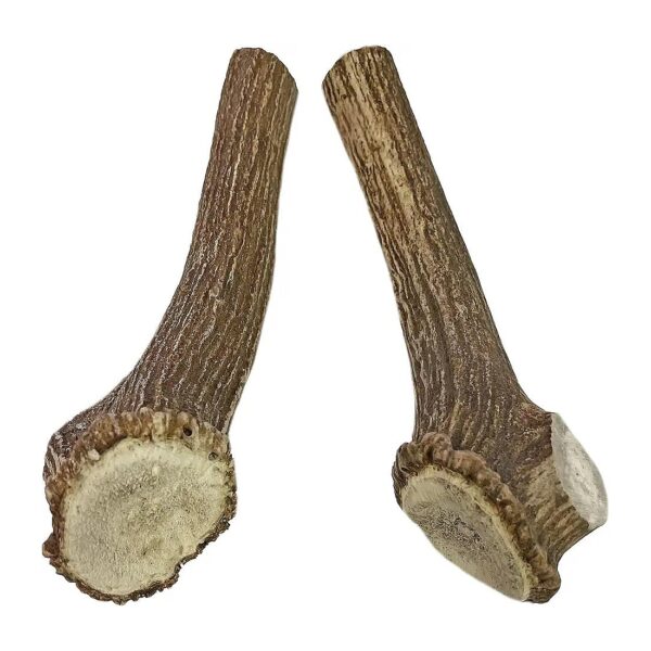 Extra Hard and Tough Deer Antler Chews for Big Dogs