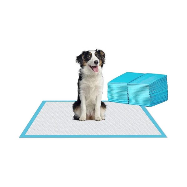 Extra Large Absorbent Training Pads for Big Dogs 30"x36" 30 Count