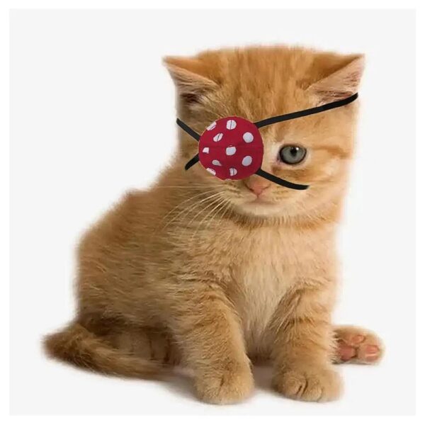 Eye Patch for Cats Eye Injuries and Wounds