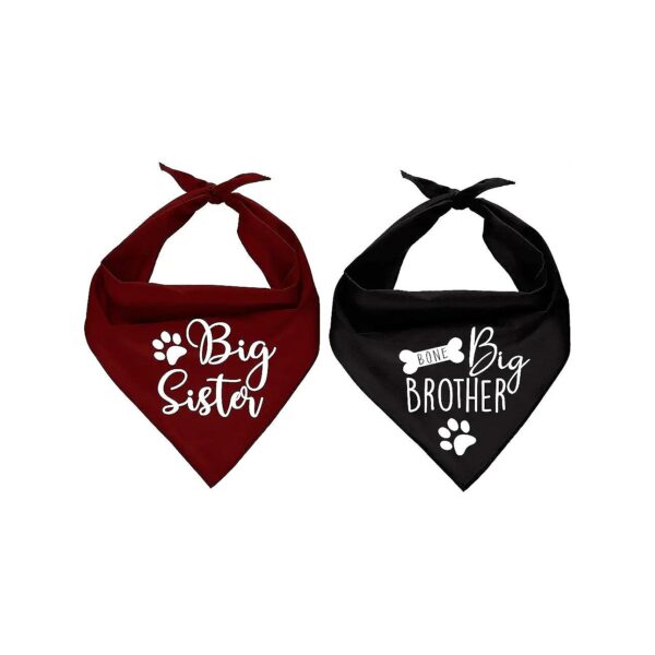 Family Kitchen Big Sister Brother Pregnancy Announcement Dog Bandanas and Scarves