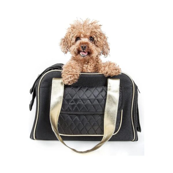 Fashionable Airline Approved Dog Carrier with Front Pouch and Dual Entrances