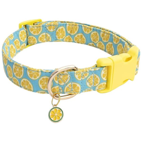 Fashionable Soft Fancy Lemon Patterned Dog Collar for Boy Girl Dogs in Green