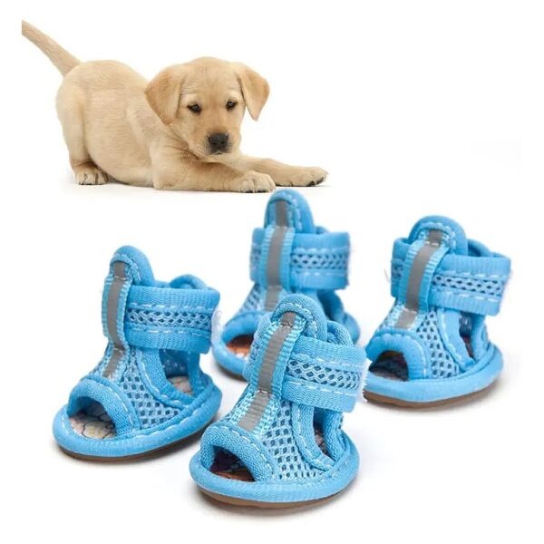 Fashionable and Functional Dog Shoes for Summer Comfort Your Pet on Hot Pavements