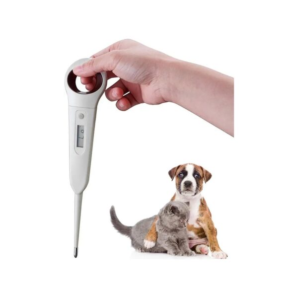 Fast Digital Veterinary Thermometer for Adult Dogs Cats Pigs Sheep with High Accuracy