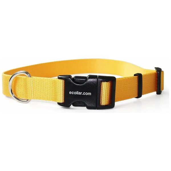 Fast and Easy Yellow Nylon Dog Collar with Quick Snap Connect