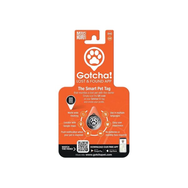 Fast and Effective Pet Identification with Smart Tag and Gotcha App