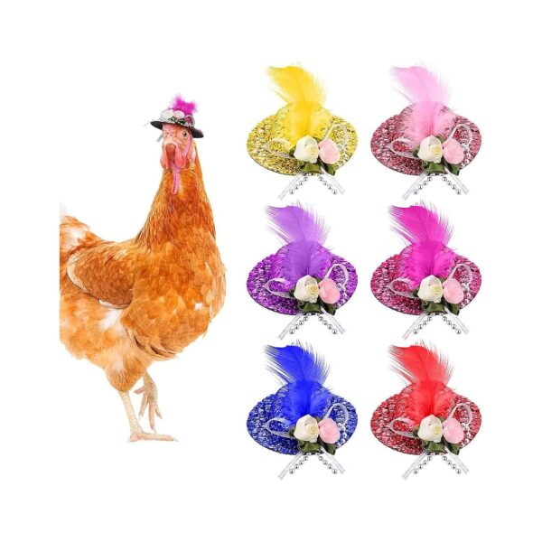 Feathered Friends Chicken Bird Hats Adjusts to Fit Chin Strap Perfect for Small Birds