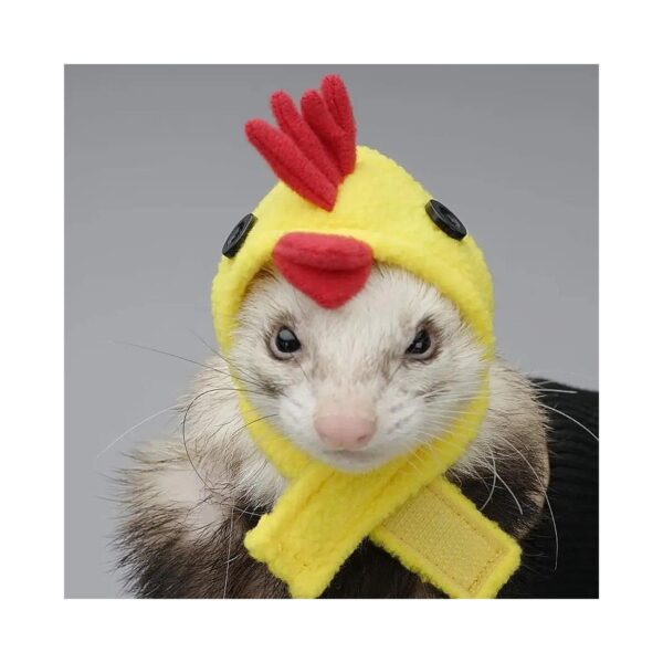 Ferret Friendly Cartoon Character Hats for Small Animals and Kitten Accessories