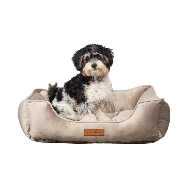 Fine Velvet Dog Bed with Extra Soft Pillows for Small to Medium Pets