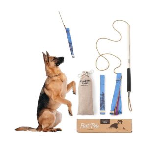 Flirt Pole for Small to Medium Breed Dogs with Adjustable Rope and Two Toys