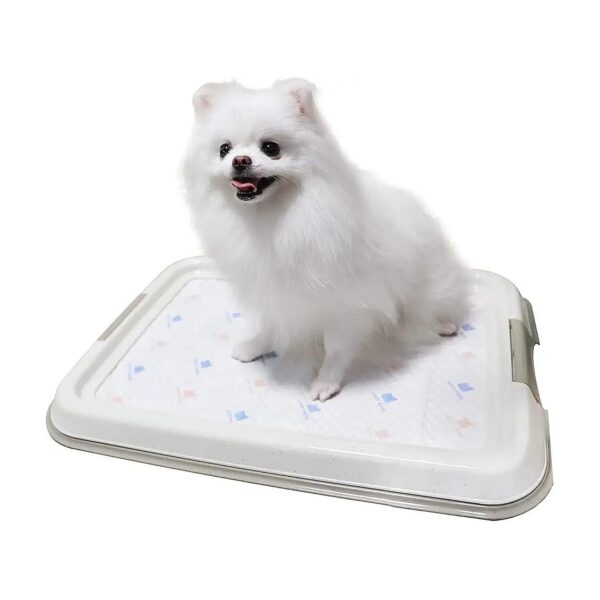 Floor-Safe Puppy Potty Training Pad Holder for Small Breeds