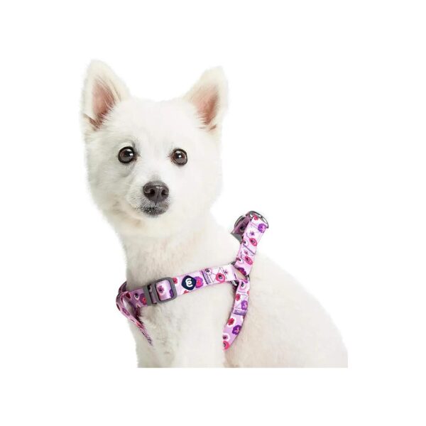 Floral Dog Harness for Small Breeds with Chest Girth 5-5 and Adjustable Strap