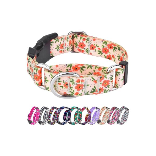 Floral Nylon Martingale Collar with Buckle Closure for Small Medium Large Dogs