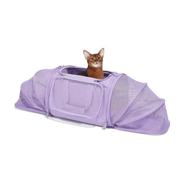 Foldable Cat Carrier for Small Medium Pets with Secure Locking Zippers