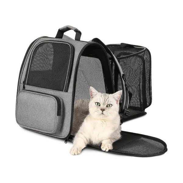 Foldable and Adjustable Pet Carrier Backpack for Dogs and Cats