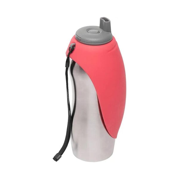 Folding Silicone Bowl and Stainless Steel Water Bottle for Pet Travel