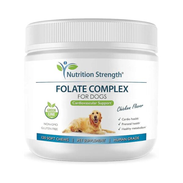 Folic Acid Soft Chews for Dogs Support Prenatal Health and Cardiovascular Function