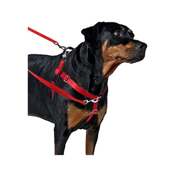 Freedom No Pull Dog Harness Reduces Pulling with Soft Velvet Lining Small Raspberry Mesh