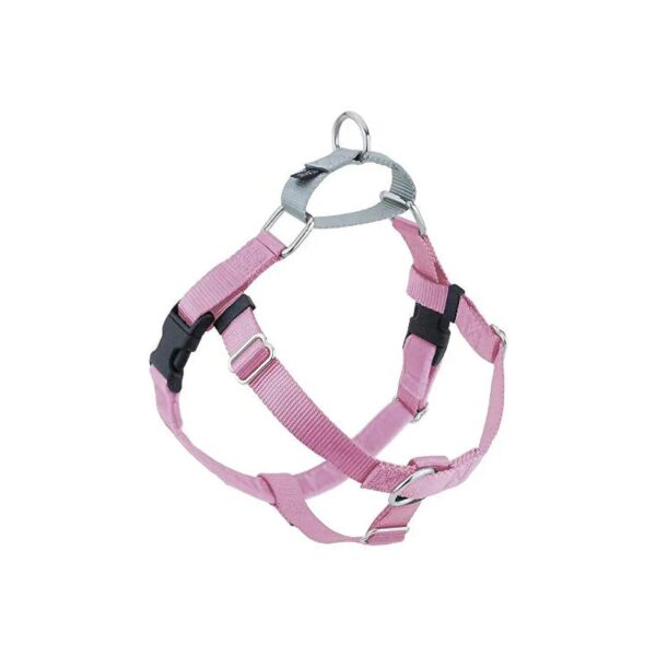 Freedom No-Pull Dog Harness with Leash for Small Adult Dogs