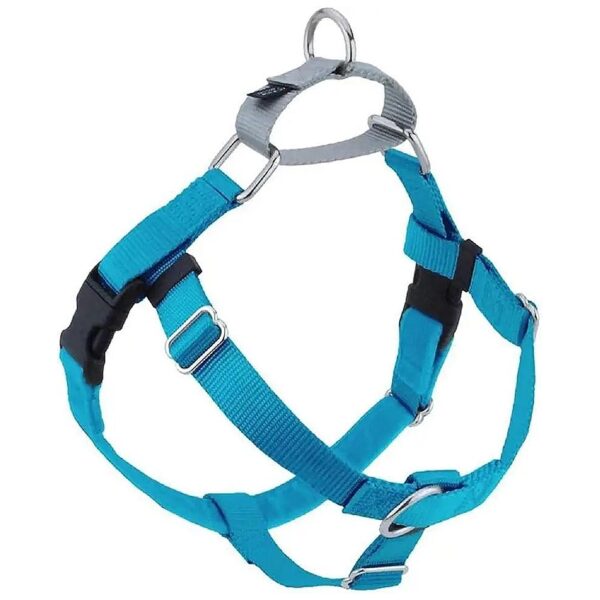 Freedom No-Pull Harness with Turquoise Strap and Silver Loop X-Large Size