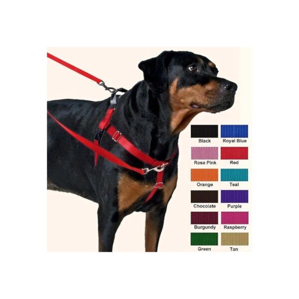 Freedom Walking Harness 1 Inch Width Large Purple Nylon No-Pull