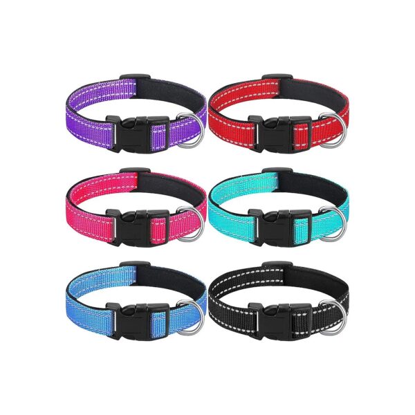 Fresh Color Reflective Nylon Adjustable Pet Collars for Dogs and Cats