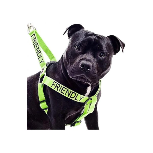 Friendly Green Dog Harness Prevents Accidents with Color Coded Warning