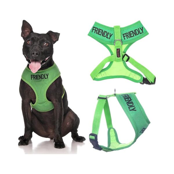 Friendly Medium Green Dog Harness with Non-Pull D Ring Prevents Accidents