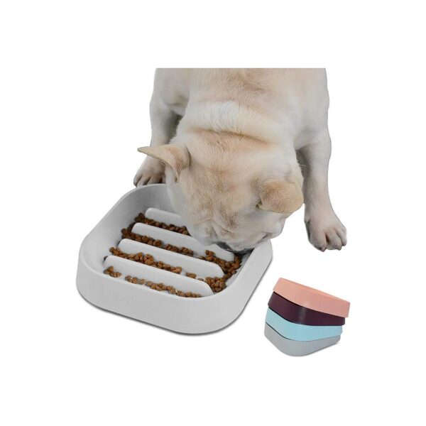 Friendly and Fun Slow Feeder Dog Bowl for French Bulldog